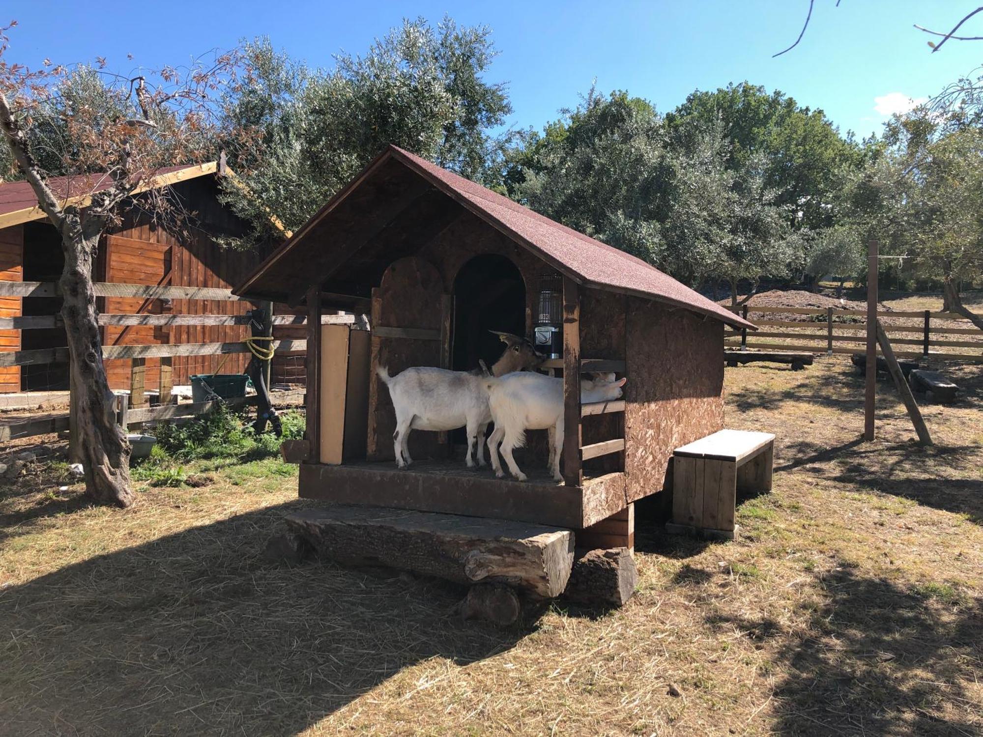 Centro Vacanze סאן מרינו מראה חיצוני תמונה